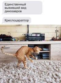 Нет креслоцараптор не единственный, есть же еще велоцараптор.