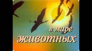 Виктория Боня уехала отдыхать с "папиком", который оказался женат