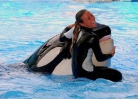 когда на вершине пищевой цепи и не видишь смысла скрывать это,  но тут кто-то пытается сесть тебе на шею