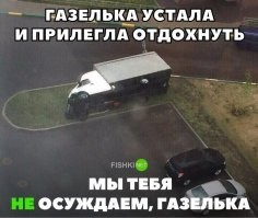 Скрины из соцсетей&nbsp;