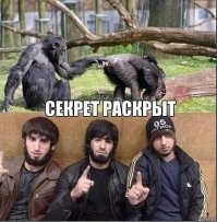 Чеченского бойца ММА задержали в Москве из-за публичного оправдания терроризма