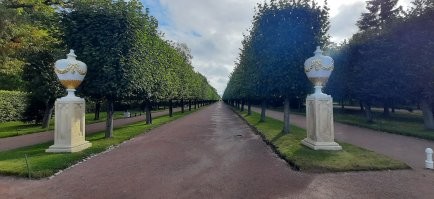 Фото из Петергофа.