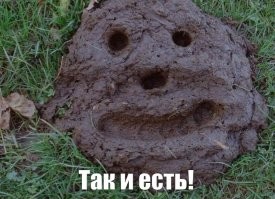 Мужчина украл 53 новых iPhone и 550 тысяч рублей на второй день работы в московском салоне связи