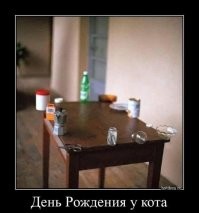 Почему коты обожают сбрасывать предметы