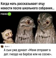 у меня жена сегодня тоже пришла с родительского собрания. точно также и было