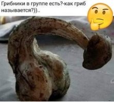 Американский пилот съел галлюциногенные грибы и попытался отключить двигатели пассажирского самолёта