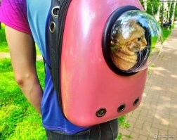 Материал говно - растянется за пару часов.
Если котейка начнет брыкаться (а коты не любят, когда их движения долго чем-то стеснены), то порвет хозяйку и кофту эту на ремешки.
Вот же давно было решение: