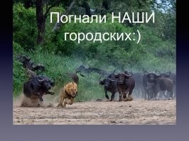Жители британской деревни ополчились против приезжей из столицы