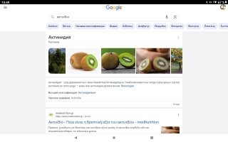 Читать умеешь?