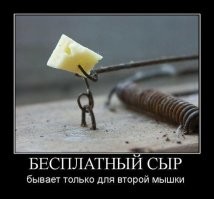 Мошенники придумали новую схему обмана автомобилистов