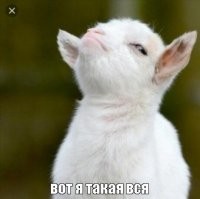 у неё такой надменный вид , мне такие не нравятся,