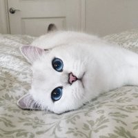 Вот самые красивые ночные тыгыдыки.