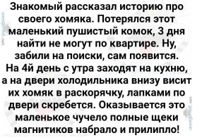 А потом заболел живот. В Краснодаре хирурги достали из 6-летней девочки 180 магнитных шариков