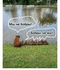 На общую тему&nbsp;