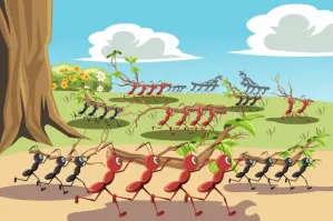 Гипнотизирующая физкультура по-китайски