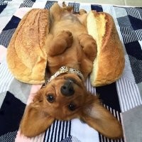 Намешалось