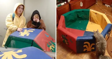 Ниуя себе туалет мне налутали,подумал кот.