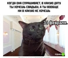 Комментарии и картинки из соцсетей. Свежак за 27 октября