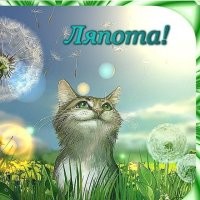С добрым утром