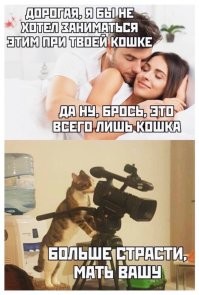Американские подростки хотят видеть меньше секса в кино и больше дружбы
