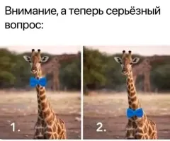 Эта и другие 756 важных мыслей в моей голове в 4 утра...