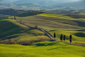 Летом были вот здесь , на самом деле все выглядит по другому это пот Флоренцией , ради этого пришлось тащиться на поезде из Пизы а там потом еще 2 часа на автобусах :)