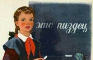 В Китае спасли 1000 кошек, мясо которых планировалось продать под видом баранины