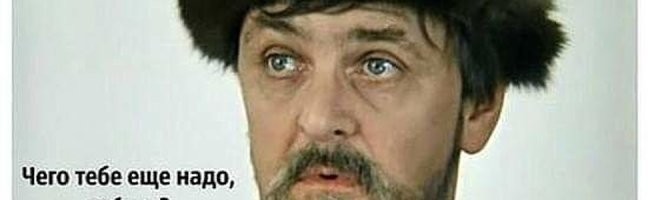 Что "и всё"? А мало что ли? Шерсть, мясо, молоко на сыр. Ешь, пей, смотри окрестные пейзажи.