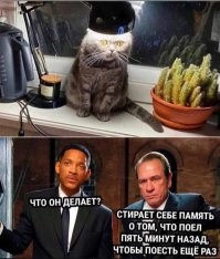 Комментарии и картинки из соцсетей. Свежак за 28 октября