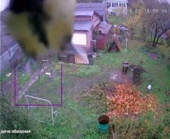 На мою камеру птицы повадились дифелировать.