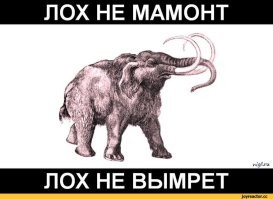 Шёл 2023 год: на бизнес-встрече посетители выстроились в очередь к финансовому тарологу