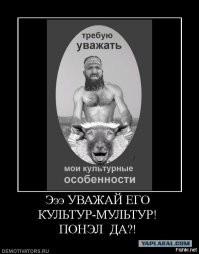 «Германия, у нас проблема!»: доведённые до ручки немцы опубликовали свод правил поведения для приезжих