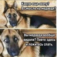 Комментарии и картинки из соцсетей. Свежак за 29 октября