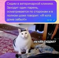 Комментарии и картинки из соцсетей. Свежак за 29 октября