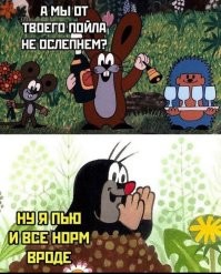 Комментарии и картинки из соцсетей. Свежак за 29 октября