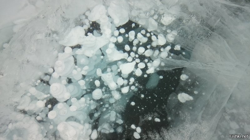 Замерзшие пузыри на Красноярском водохранилище.
