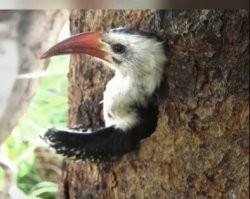 Рома, видос не смотрел (0.47)? Там всё про это сказано (сама вылезает)!