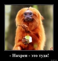 "Я больше так не буду!": семью нижегородских мигрантов, участвовавших в драке, могут выдворить из страны