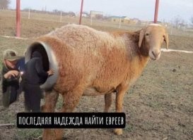Беспорядки в Дагестане: что известно о ситуации в аэропорту Махачкалы