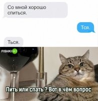 Бессонница крыльями машет в окне.
Не спится, не спится… не спиться бы мне.