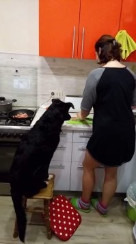 Стало)