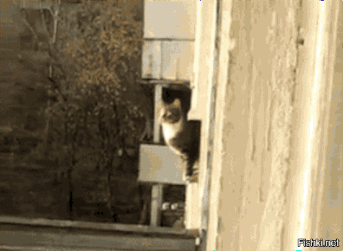 "Вот как надо:"