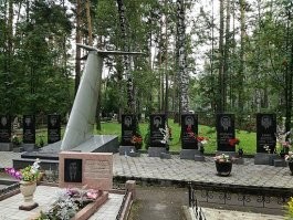 Это то что осталось от сбитого ТУ 154 с евреями.