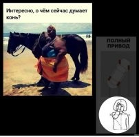 Своя ноша не тянет: о мастерах экономии и доставки