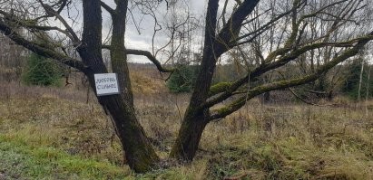 Продолжаем барражировать соцсети