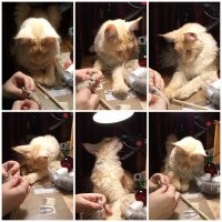 Игрушку зашивала минут пять максимум