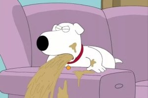 Ну, нам последствия этой игры не показали же. Имбирь - нефизиологичная еда для собаки, а как лекарство имеет ограничения.