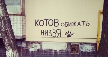 Спасение дня: в центре Москвы обнаружили машину, где уже четвёртый день томился запертый кот. Спасать его приехали полицейские