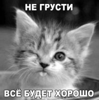 Разочарование пушистых