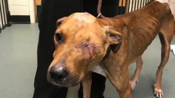 игра вообще то, а вот что бывает после издевательства